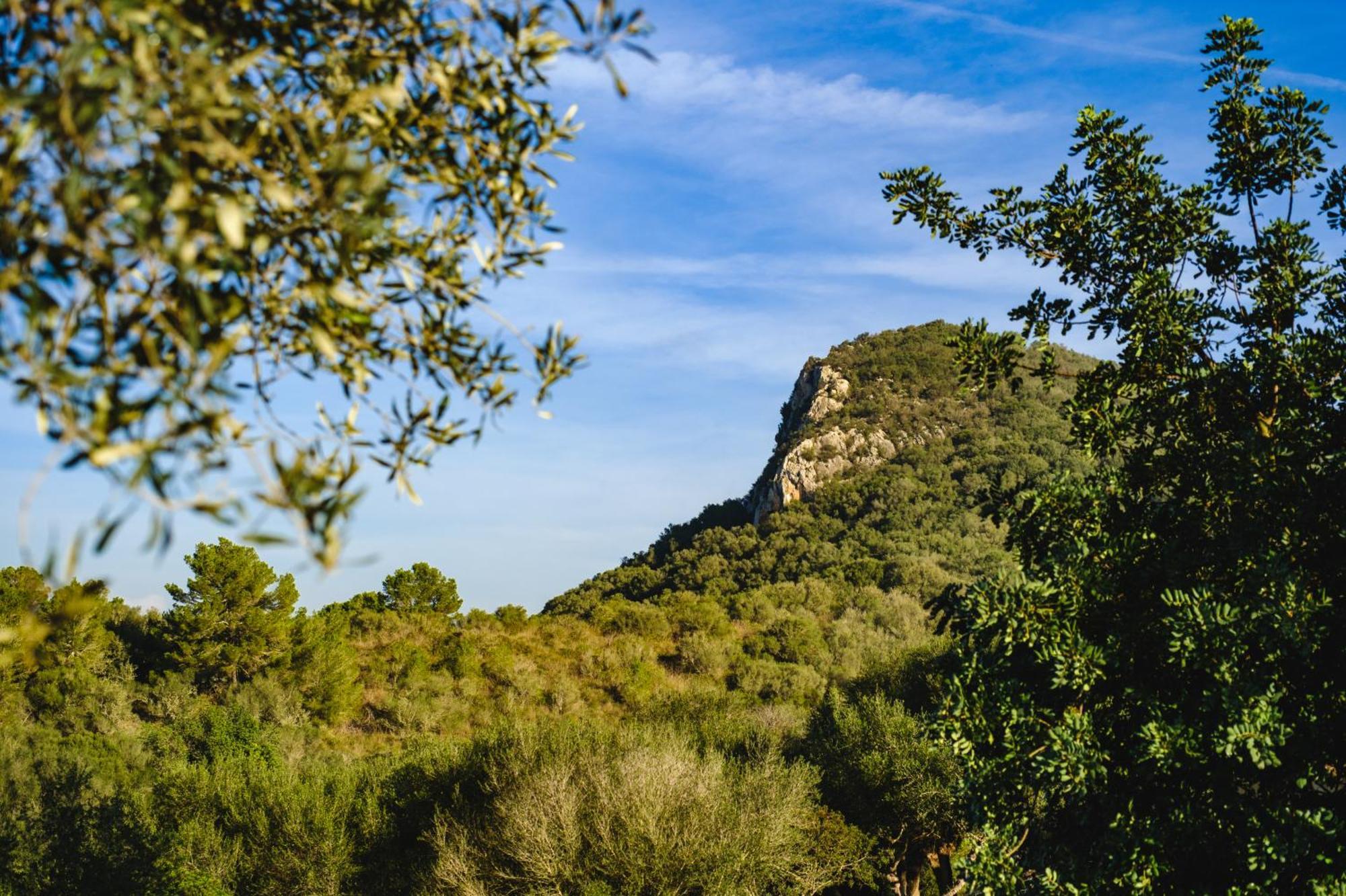 Sa Bastida Luxury Retreat & Adults Only - Over 14 Hotel 4*