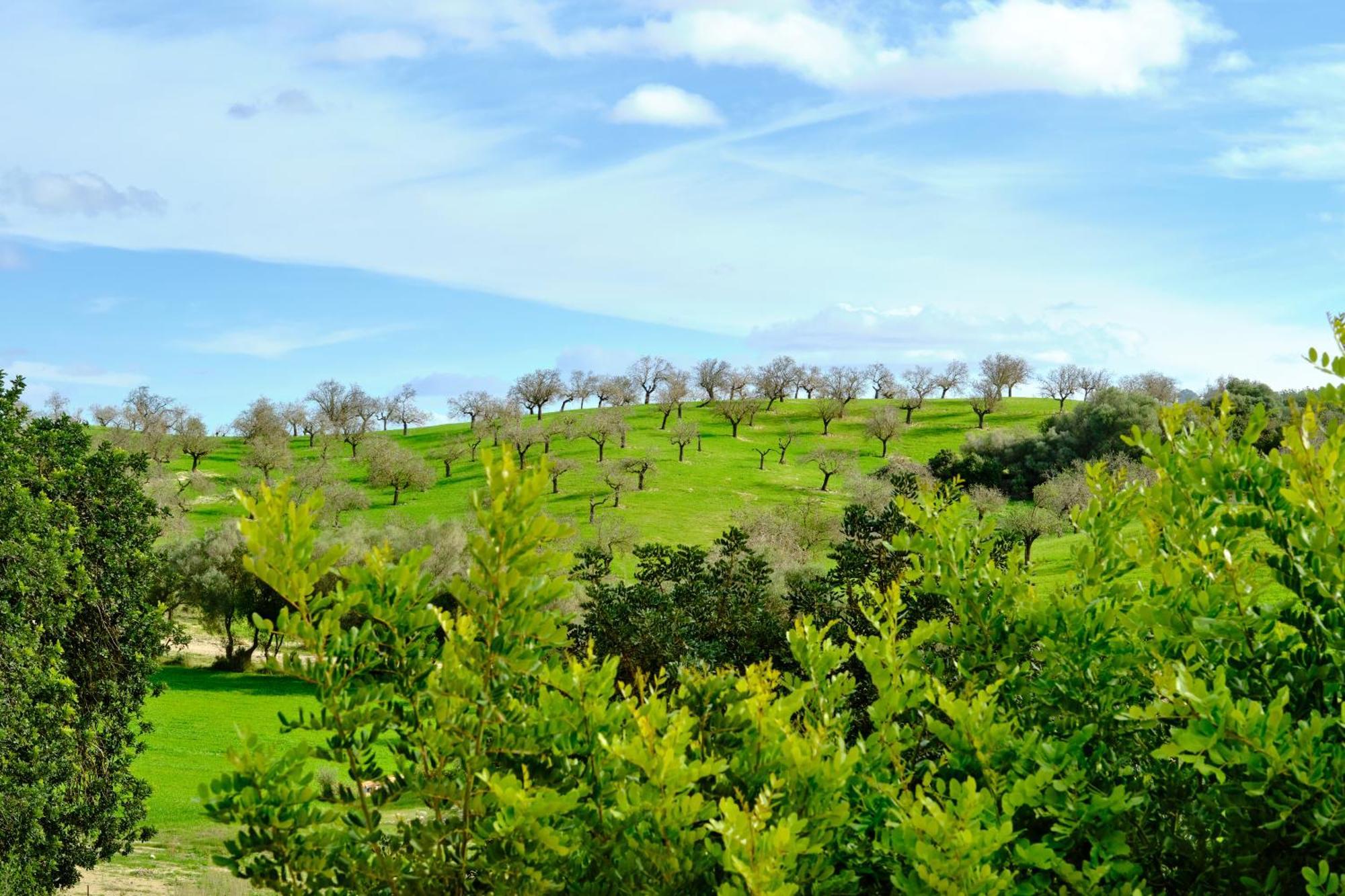Hotel Sa Bastida Luxury Retreat & Adults Only - Over 14 Sant Joan